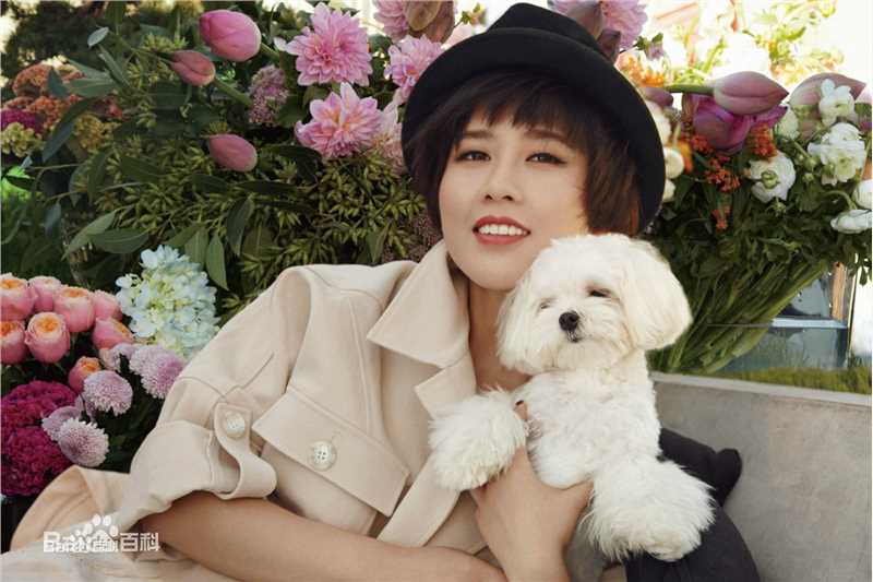 夏梓桐最新杂志拍摄壁纸