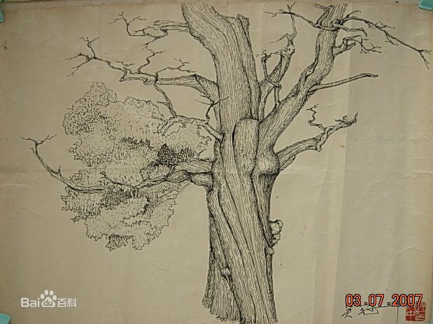 于江作品生活照相册