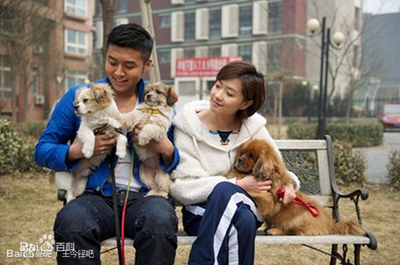 王今铎(Jin duo-Wamg)最全剧照