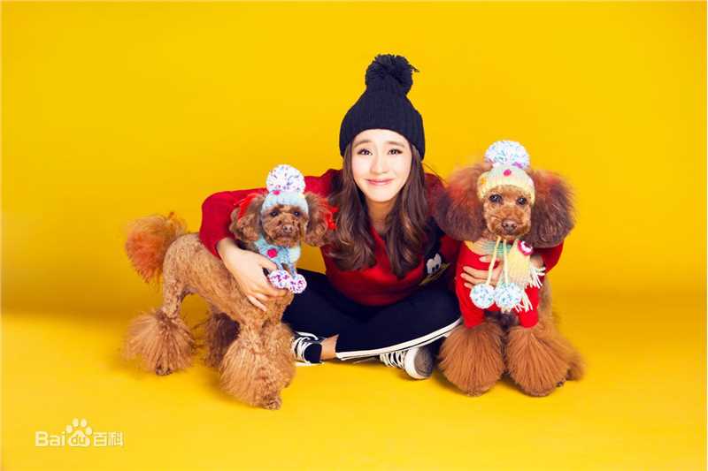 王智(WangZhi)高清杂志大片图集