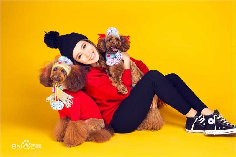 王智(WangZhi)高清杂志大片图集