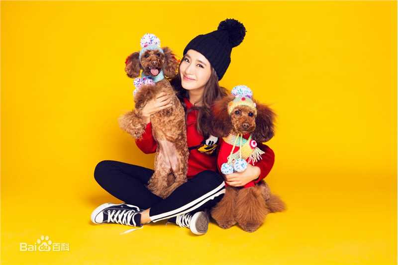 王智(WangZhi)高清杂志大片图集