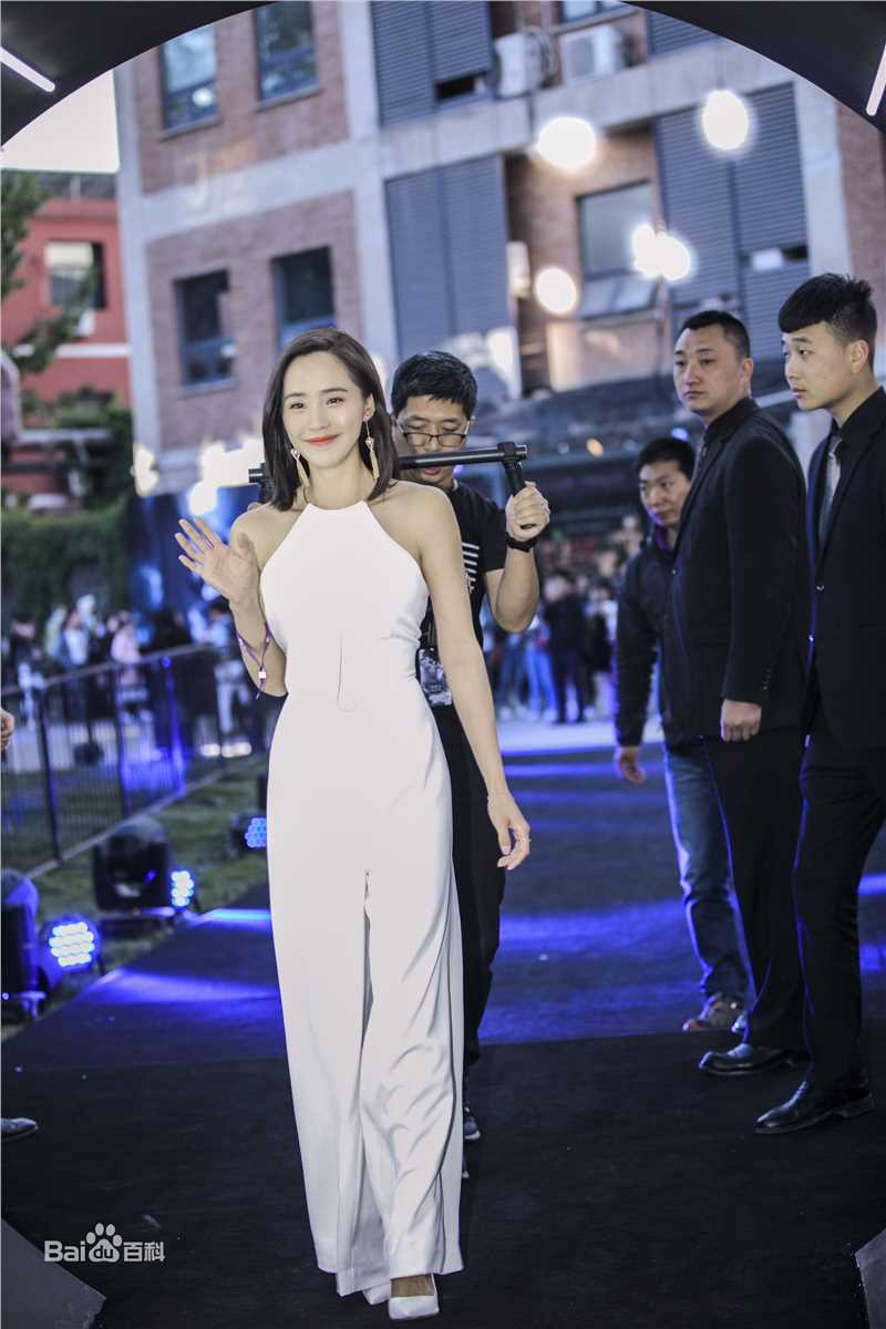 王智(WangZhi)出席活动前后照片