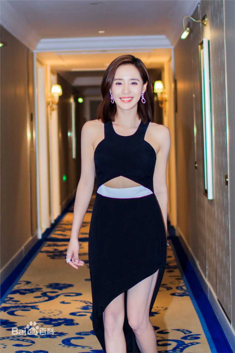 王智(WangZhi)出席活动前后照片