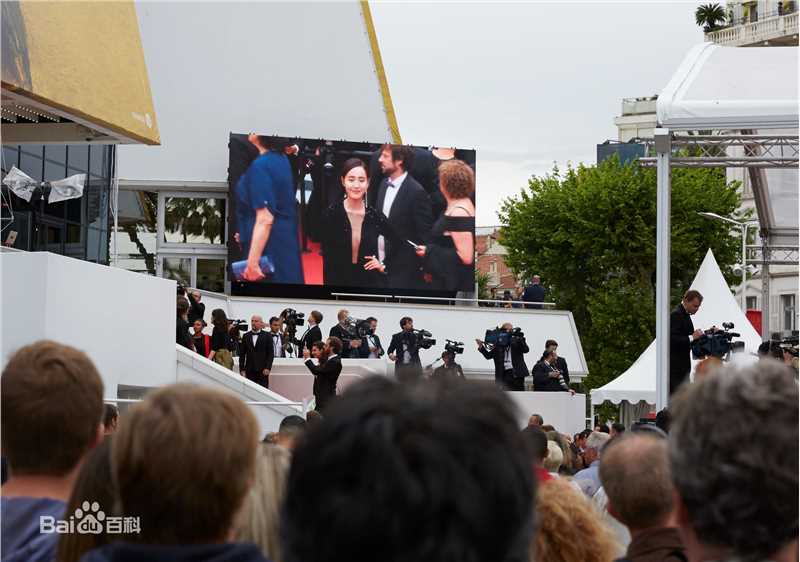 王智(WangZhi)亮相第69届戛纳国际电影节前后照片