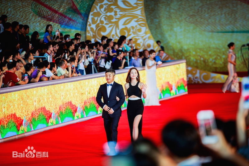 王智(WangZhi)金鸡百花电影节性感图片图集