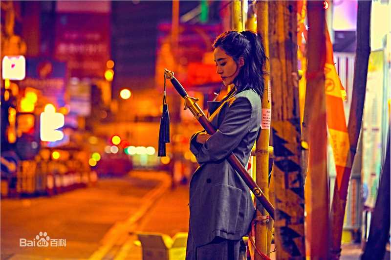 王智(WangZhi)行走于都市的女侠性感图片图集