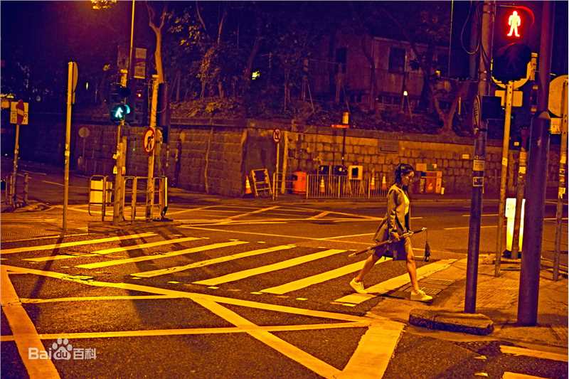 王智(WangZhi)行走于都市的女侠性感图片图集