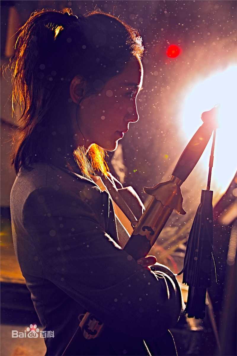 王智(WangZhi)行走于都市的女侠性感图片图集