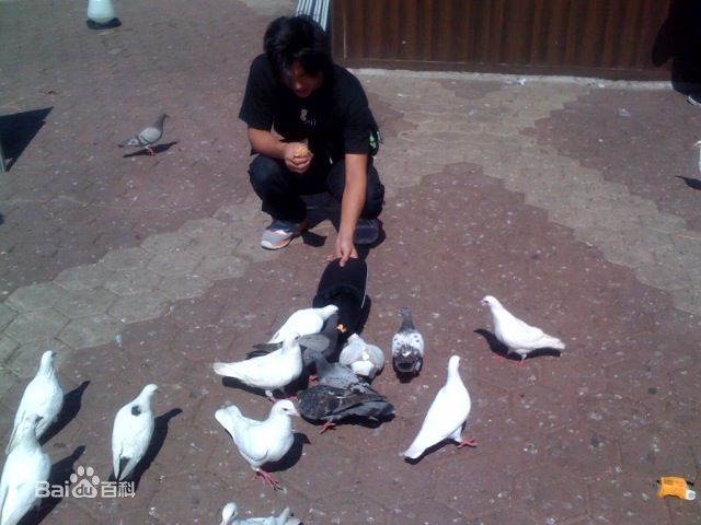 涂圣成(Jack tu)生活照图册