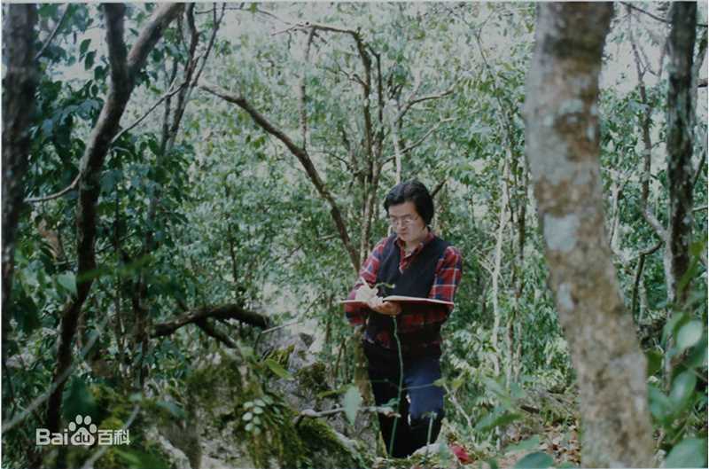 赵治平艺术生活照素颜照壁纸