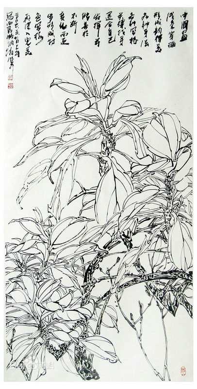 赵治平西双版纳写生作品生活照相册