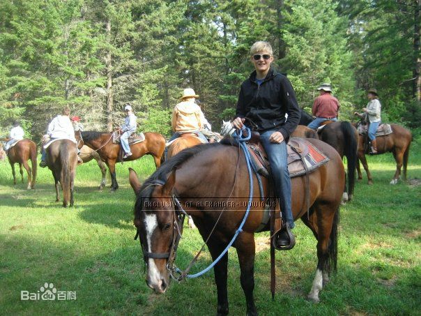 亚历山大·路德韦格(Alexander ludwig)ALEX LUD壁纸壁纸