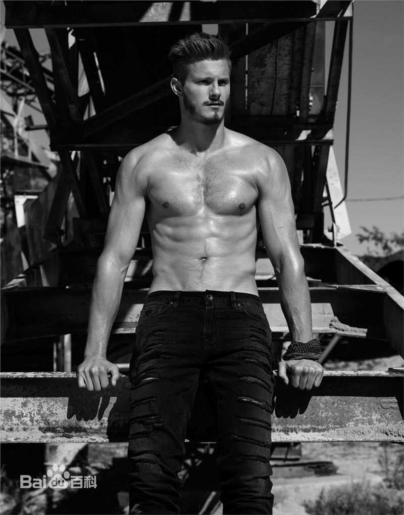 高清亚历山大·路德韦格(Alexander ludwig)图片