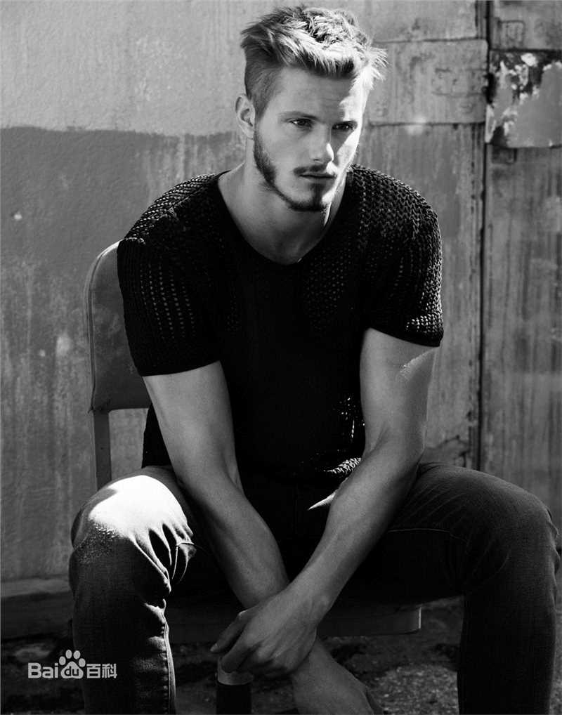 高清亚历山大·路德韦格(Alexander ludwig)图片