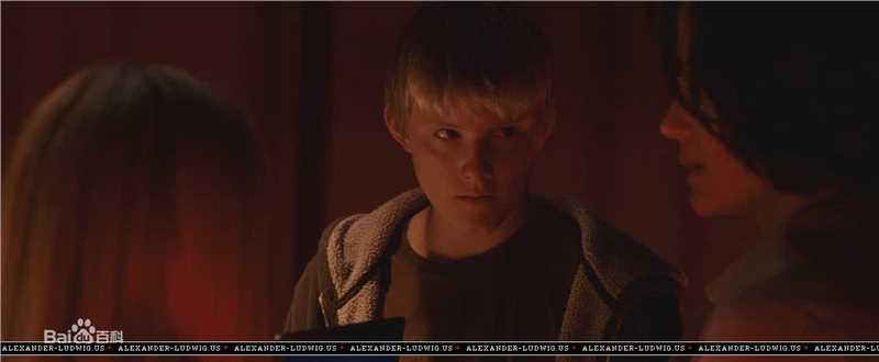 亚历山大·路德韦格(Alexander ludwig)精彩图册