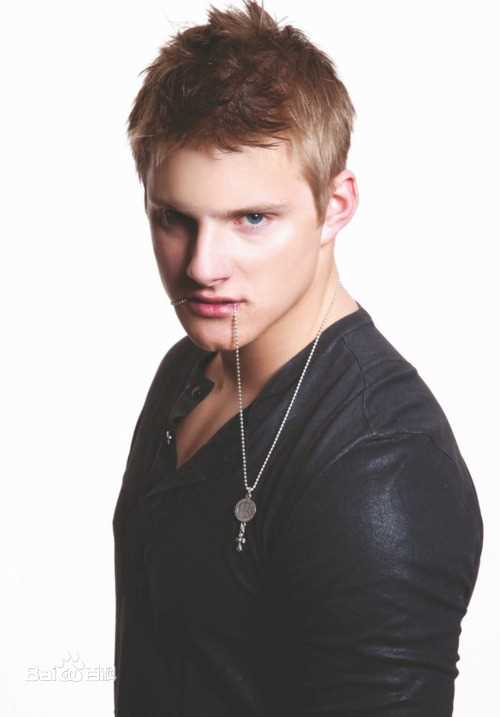 亚历山大·路德韦格(Alexander ludwig)精彩图册