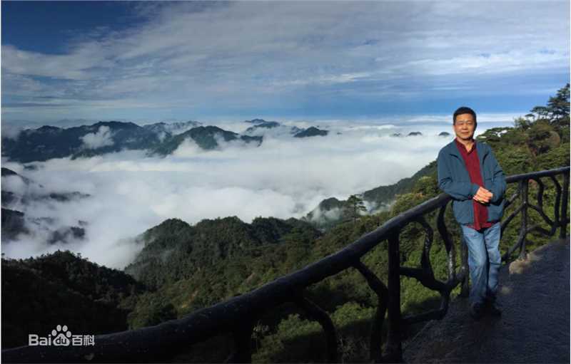 习辛生活照壁纸壁纸