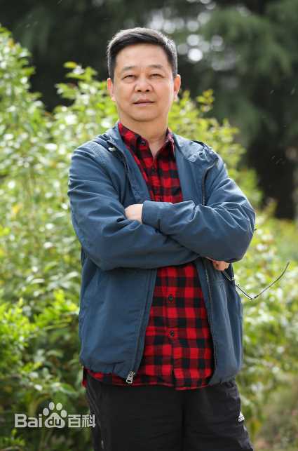 习辛生活照壁纸壁纸