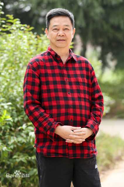 习辛生活照壁纸壁纸