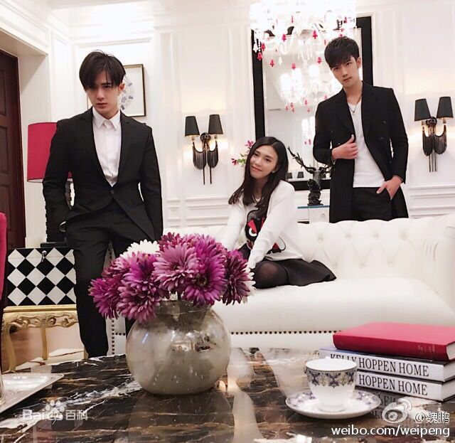 精选魏鹏(Johnny)