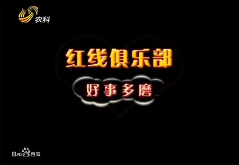 最新杨净如壁纸