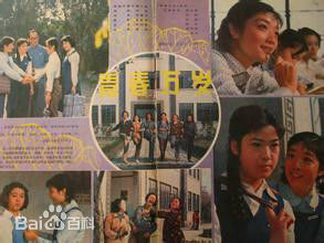 张闽参演作品图册