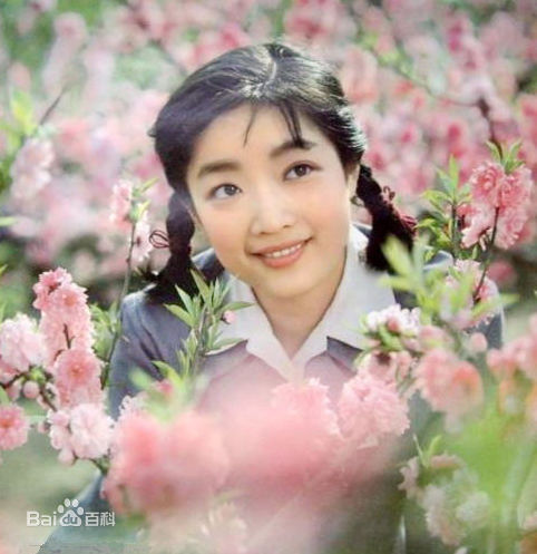 张闽参演作品图册