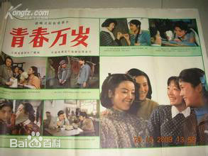 张闽参演作品图册