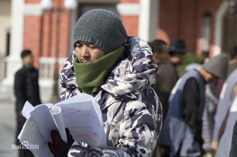 最优质王利兴在《灰雁》中的相册