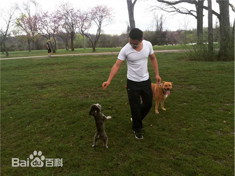 康杰(Jason)生活照性感图片图集