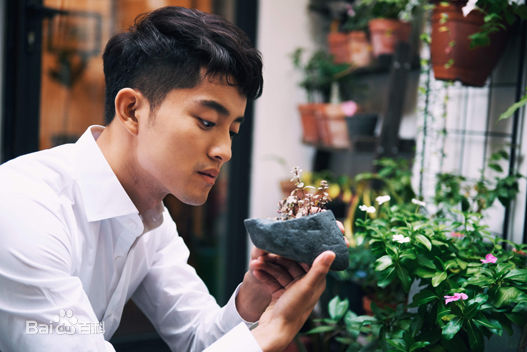 陈奕龙高清图集