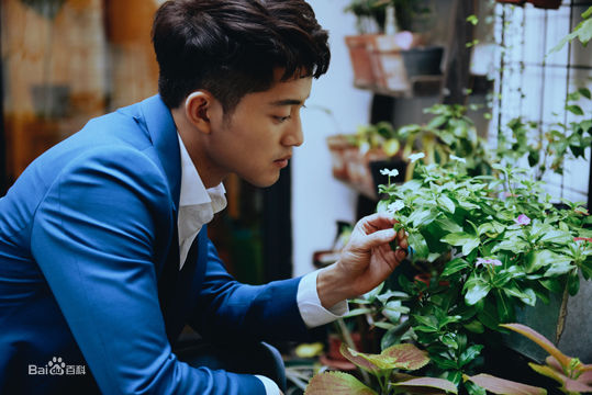 陈奕龙高清图集