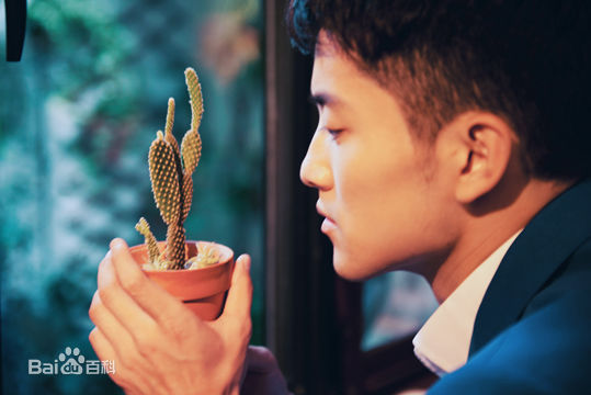 陈奕龙高清图集