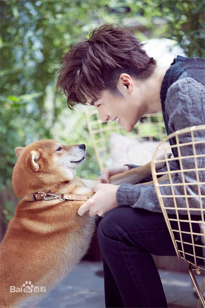 沈泰最新时尚壁纸