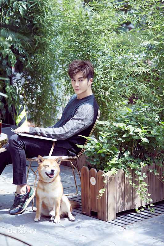 沈泰最新时尚壁纸