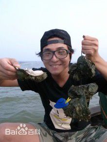 5566王少伟在中国的故事图册