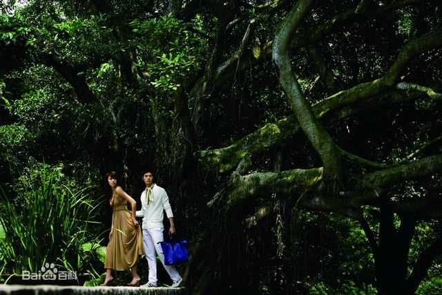 丁春诚(Sphinx Ting)最新杂志图集