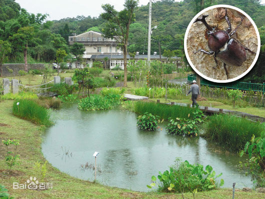 最全丁春诚(Sphinx Ting)壁纸