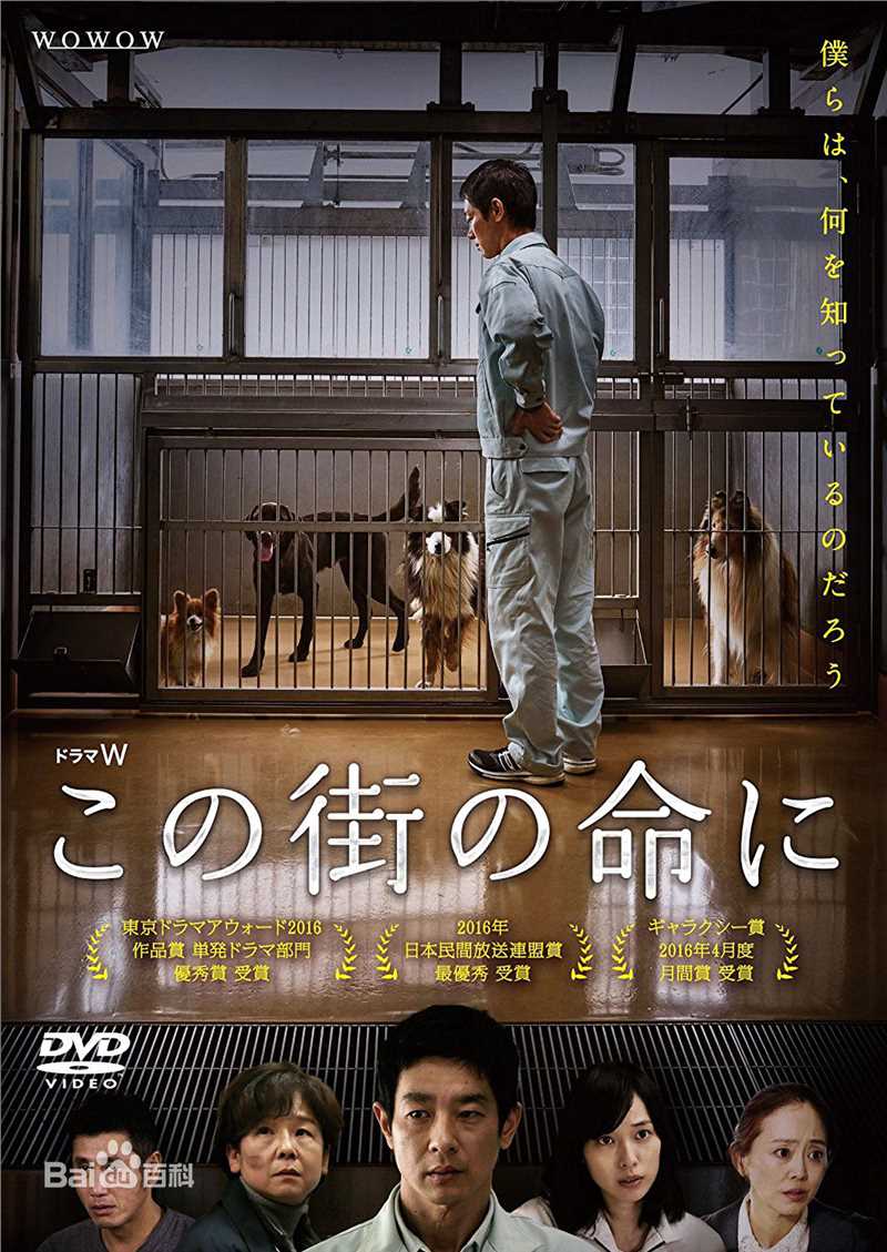 最新户田惠梨香(戸田 恵梨香、Toda Erika、とだ えりか)性感图片