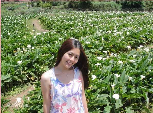 任容萱(Kirsten)踏青壁纸壁纸