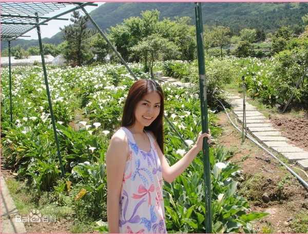 任容萱(Kirsten)踏青壁纸壁纸