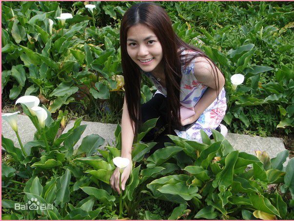 任容萱(Kirsten)踏青壁纸壁纸