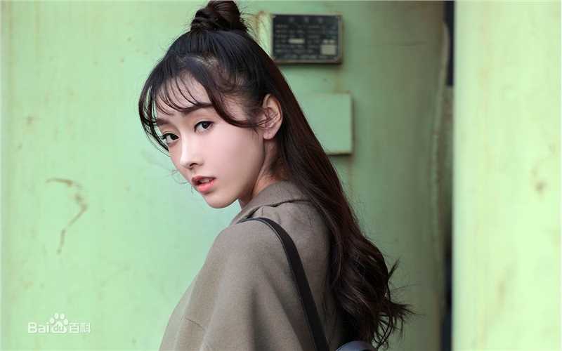 宣璐概述图册图册