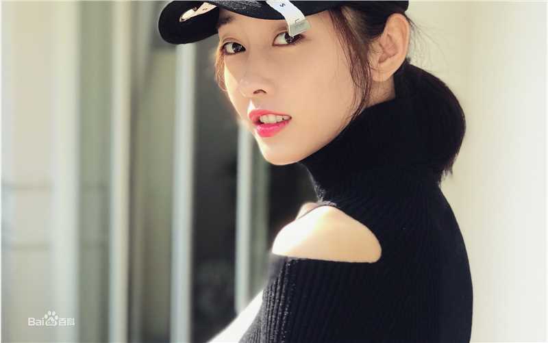 宣璐概述图册图册