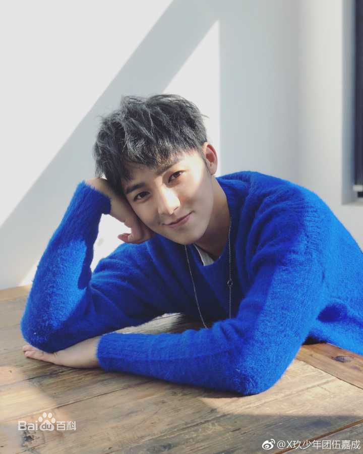 伍嘉成活动图集前后照片