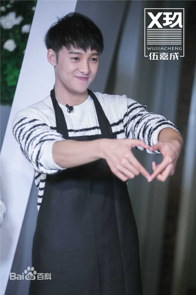 伍嘉成活动图集前后照片