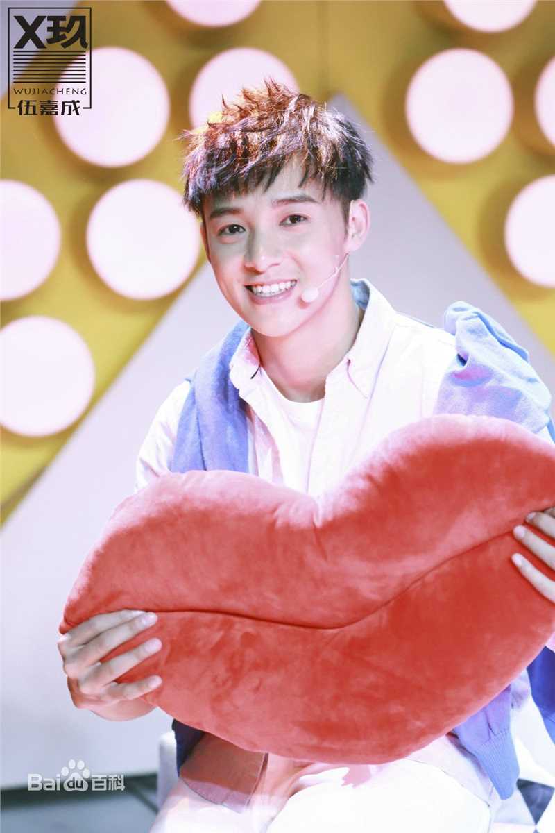 伍嘉成活动图集前后照片