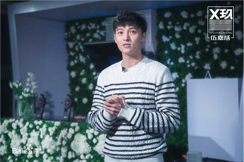 伍嘉成活动图集前后照片