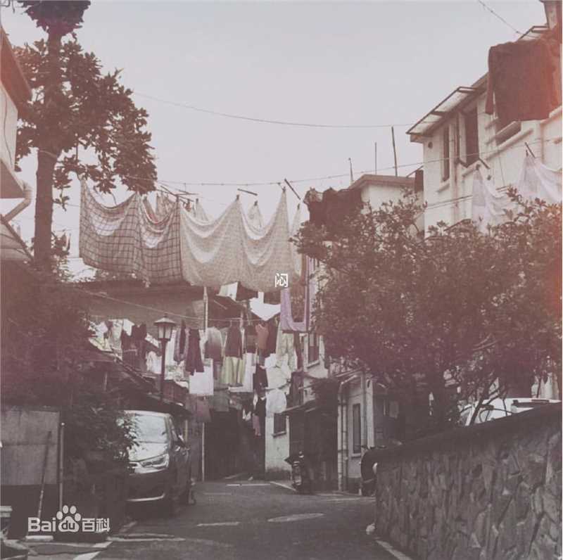 彭楚粤生活摄影记事壁纸壁纸